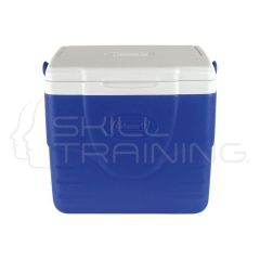 Cooler o Thermo para Vacunas - Capacidad 9 Lts