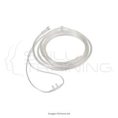 Naricera Adulto