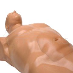 Abdominal Aortic Aneurysm Ultrasound Training
