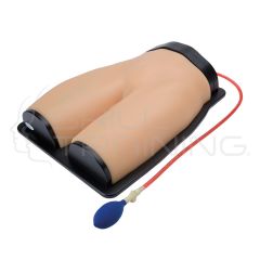 Femoral Regional Anesthesia & Vascular Access