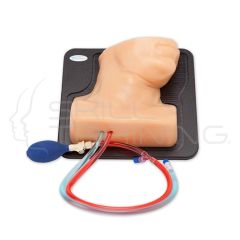 Internal Jugular Central Line Ultrasound Manikin