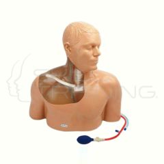 Gen II Ultrasound Central Line Model Transparent