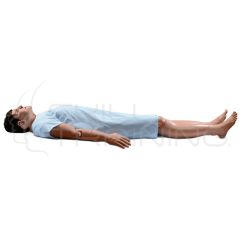 Pacient Simulator Apollo (Nursing)