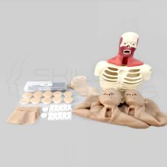 6-in-1 TCCC Trainer