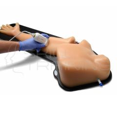 2nd Gen PICC, IV & Arterial Ultrasound Model
