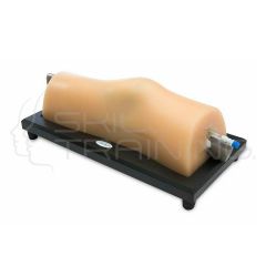 Blue Phantom Musculoskeletal (MSK) Ultrasound
