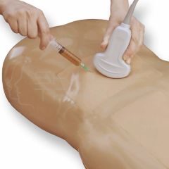 Paracentesis Ultrasound Training Model Con va