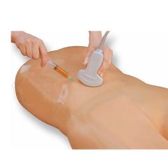 Modelo de Entrenamiento de Ultrasonido paracentesis (Sin Nervios y Vasos)