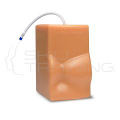 Cardiac Ultrasound Training Model (Opaque)