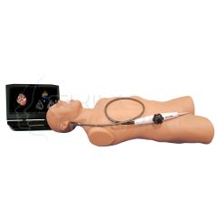 CAE Vimedix - Simulador de Ultrasonido Cardiaca Transesofágico TEE -Unidad Base