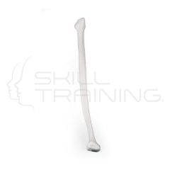 Fibula
