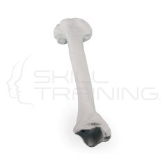 Left Tibia