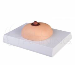 Breast Cancer Palpation Model
