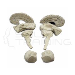 Soft Brain, 8 Parts