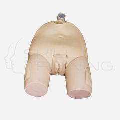 Bladder Puncture Simulator(Female)