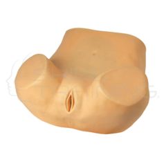 Gynecological Examination Simulator