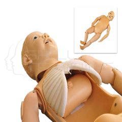 Child Thoracocentesis Training Simulator