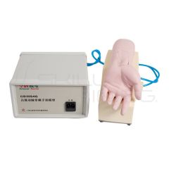 Brazo Adulto para Punción Arterial con Flujo Automático