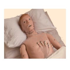 Torso Simulador de Electrocardiograma (ECG)