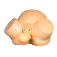 Simulador Neonatal de Resucitación Cardiopulmonar con  inserción de PICC e IVC