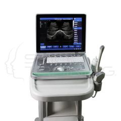Laptop B/W Ultrasound Scanner w/ convex transducer