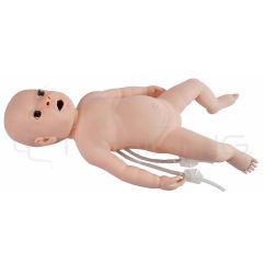 Neonatal Catherization & Clysis Model