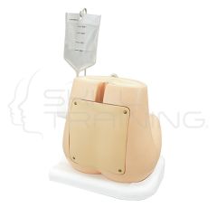 Lumbar Puncture Simulator IIA - 6 blocks