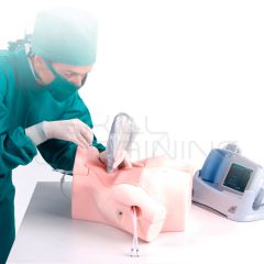 CVC Insertion Simulator II