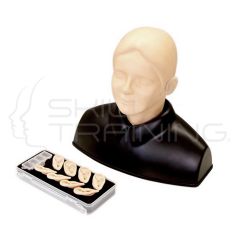 EAR Examination Simulator II