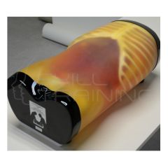 US-5: FAST/Acute Abdomen Phantom "FAST/ER FAN