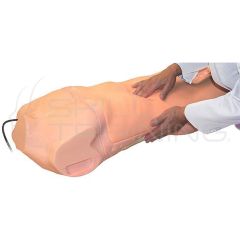 "Abdo Abby" Abdominal Assessment Simulator MW43