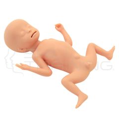 Extremely Low Birth Weight Infant Simulator