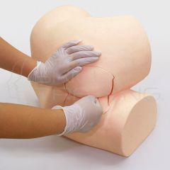 Digital Rectal Simulator