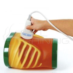 US-1: Ultrasound Examination Model "ECHOZY"