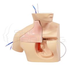 Simulador de Inserción CVC III