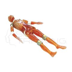Fantoma de TC de Cuerpo Completo PBU-60