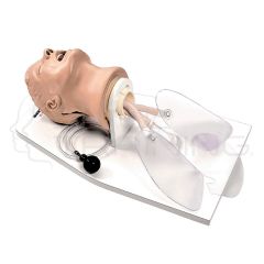Cabeza de Intubación Avanzada Airway Larry Life /Form