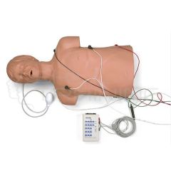 Defibrillation/CPR Training Manikin