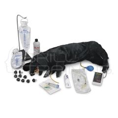 Life/form Advanced Sanitary CPR Dog