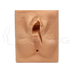 Life/form Episiotomy Left Mediolateral Suture Simulator