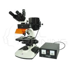 EPI-Fluorescent Microscope