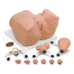 EVA Gynecological Training Manikin