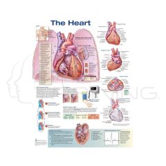 The Heart Chart