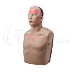 Brayden Adult CPR Manikin