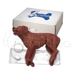 Casper the CPR Dog