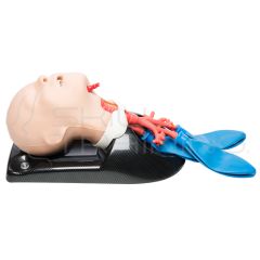 Cabeza de Intubación Pediátrica con Bronquios