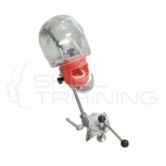 Simple Head Model for Dentistry Training