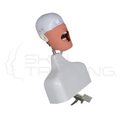 Simulador Dental con Torso y Fijacion Compatible Frasaco