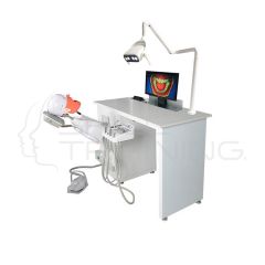 Simulador Dental Completo Con Torso Compatible Nissin
