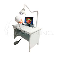 Simulador Dental con Fantoma Ajustable - Compatible Nissin